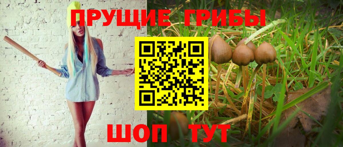 Псилоцибиновые грибы ЛСД Шатура