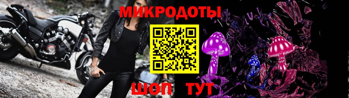 Псилоцибиновые грибы Psilocybe  Вход с VPN  Шатура  Галлюциногенные грибы мицелий 