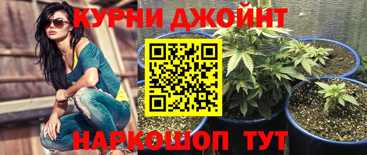 Бошки марихуана индика Шатура